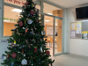 image00007